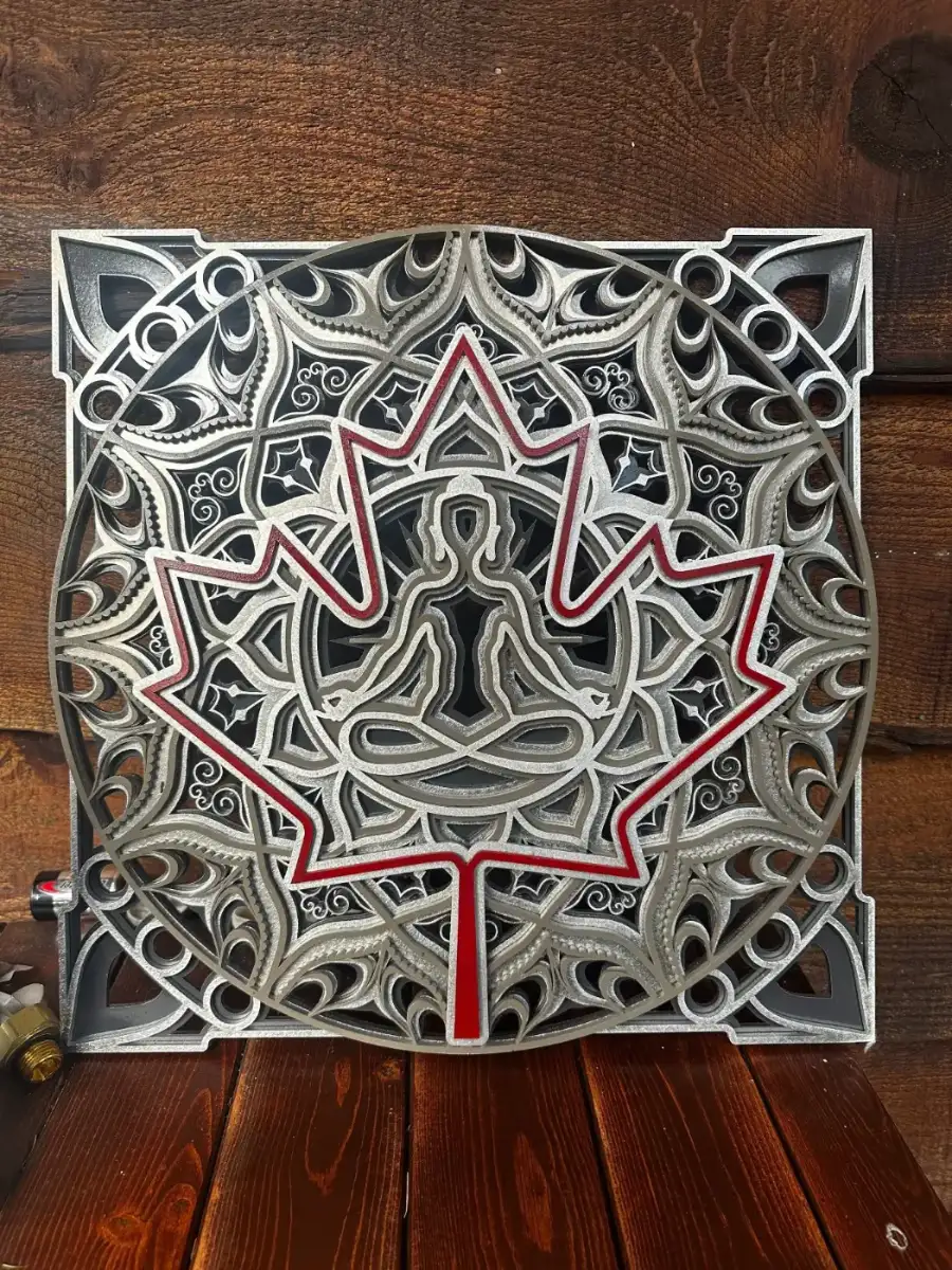 Conscious Canadian